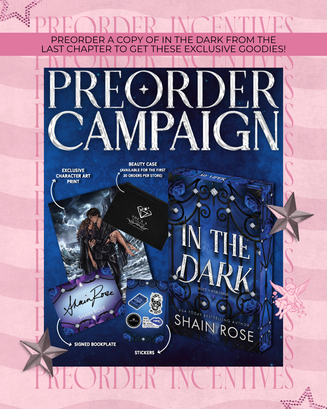 In the Dark Preorder Campaign